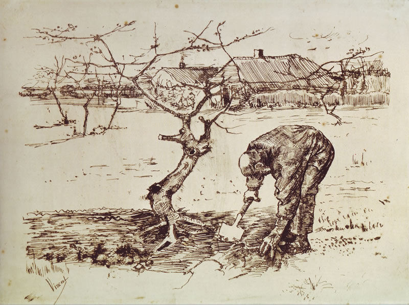 Orchard drawing