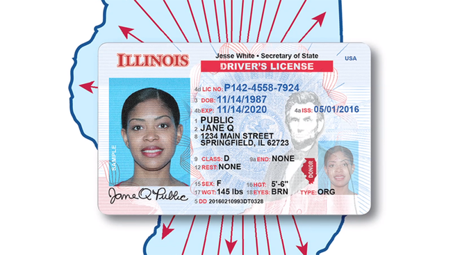 Illinois drivers license image